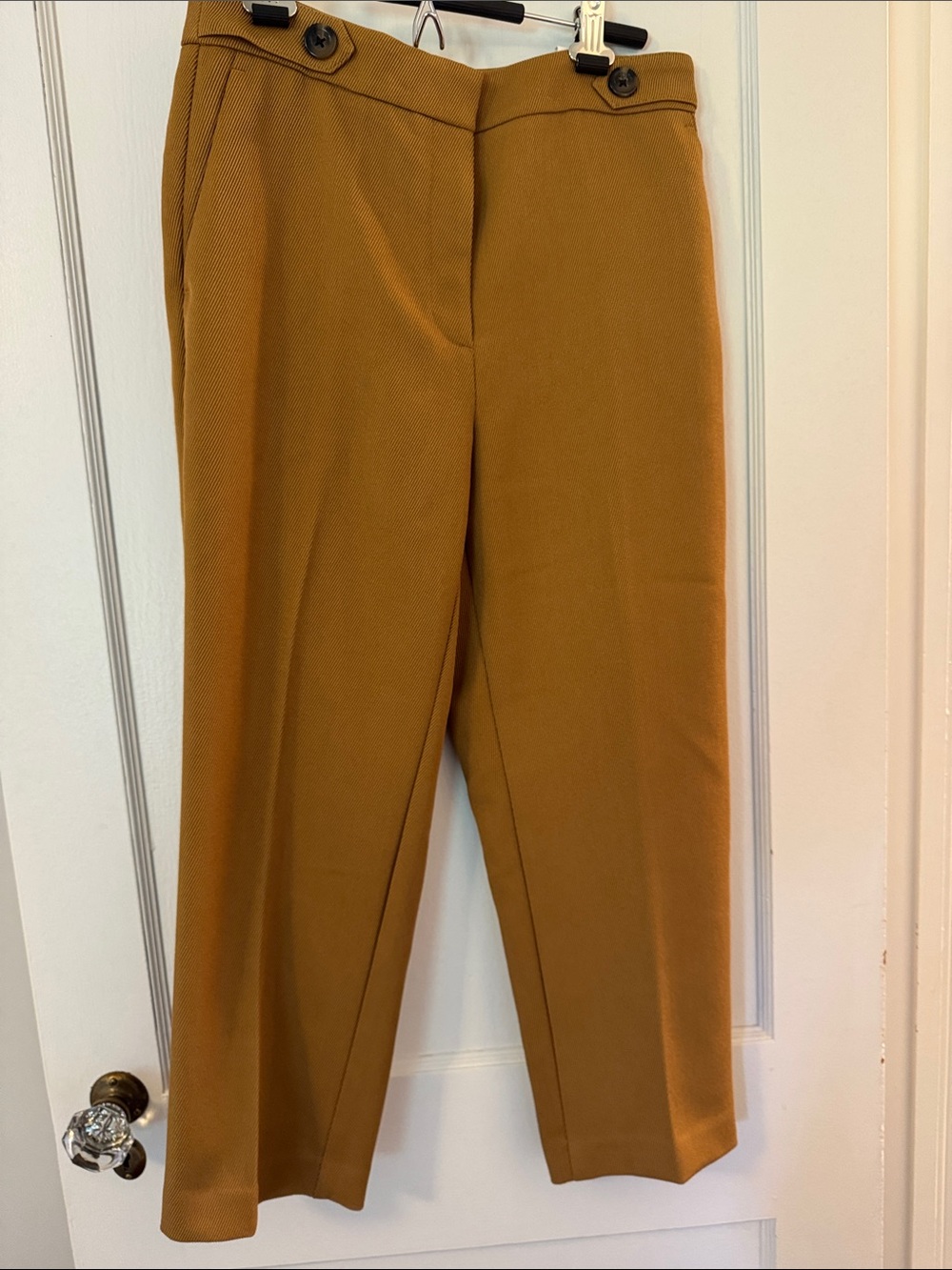 Ann Taylor High-Waist Pants in Dark Mustard Yellow